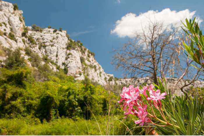 montagna cavagrande